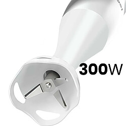 Acheter Avizar Mixeur Plongeant 300W Ergonomique avec Lame en Acier Inox Blanc