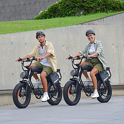 Avis Vélo électrique - Hidoes B9 - Moteur 750W - Dual Batterie 48V 33.8Ah (18.2Ah + 15.6Ah) amovible - Autonomie 120km - Shimano 7-speed