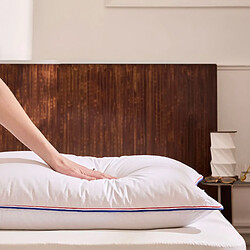 La Couette Française Oreiller Tignes 65X65