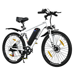 Vélo Électrique pliable KOOLUX X15 - Moteur 1000W - Vitesse maximale 42km/h - Batterie 48V 15.6AH - Autonomie 90km