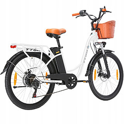 Avis Vélo électrique TTGO Y26 - Moteur 250W - batterie 48V 14.5Ah - Autonomie 75KM - SHIMANO 6 vitesses - Homme/Femme VAE