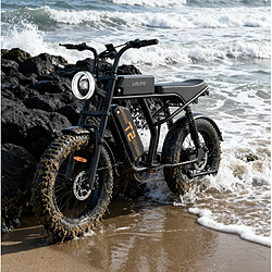 Acheter Vélo Électrique URLIFE T2 - Autonomie 100km - Moteur 750W - Batterie 48V 15.6Ah - Vitesse 45 km/h - 20*4.0 VTT