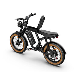 Vélo Électrique URLIFE T2 - Autonomie 100km - Moteur 750W - Batterie 48V 15.6Ah - Vitesse 45 km/h - 20*4.0 VTT