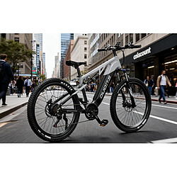 Avis VTT Électrique DUOTTS E29 - Moteur 720W - Batterie 48V 13.5Ah Amovible - Autonomie 90km - Vitesse 40km/h - Suspension Hydraulique