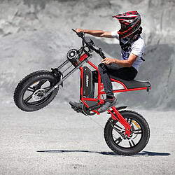 Acheter Vélo électrique - Hidoes B6 - Moteur 1200W - Batterie 48V 15Ah amovible - Autonomie 120km - Gros Pneus 20'x4.0'