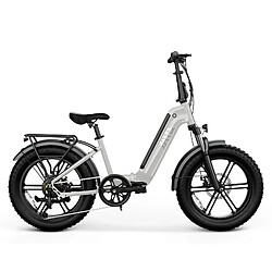 Vélo Électrique adulte TST F8 - Batterie 48V 15Ah - Moteur 1300W - Autonomie 90km - vitesse max 45 km/h