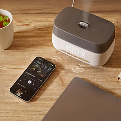 Acheter Humidificateur Cecotec PureAroma 1300 Hydra Speaker 300 ml