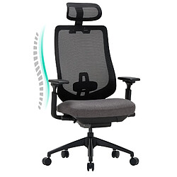 Smartue Chaise de bureau avec accoudoirs 4D et siège réglable avant-arrière, confort optimal pour travail intensif - Gris