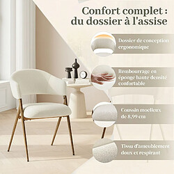 Acheter Smartue Lot de 2 Chaises de Salle à Manger Beige