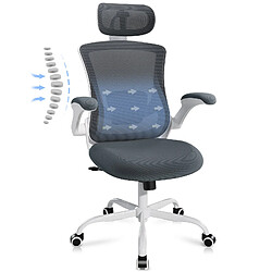 Smartue Chaises de bureau - Chaise de bureau ergonomique – Dossier haut en mesh, soutien lombaire et appuie-tête réglables, accoudoirs relevables – gris