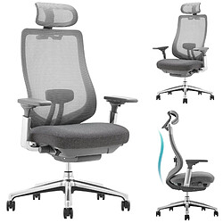 Smartue Chaise de bureau - chaise de bureau avec accoudoirs 4D et siège réglable avant-arrière, confort optimal pour travail intensif, gris foncé