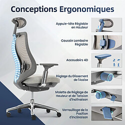 Smartue Chaise de bureau avec accoudoirs 4D et siège réglable avant-arrière, confort optimal pour travail intensif - Gris claire