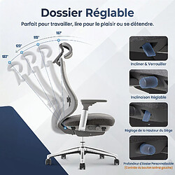 Smartue Chaise de bureau - chaise de bureau avec accoudoirs 4D et siège réglable avant-arrière, confort optimal pour travail intensif, gris foncé