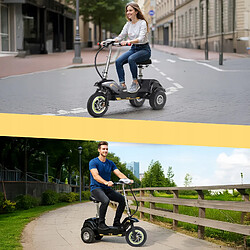 Acheter TWOFISH Trottinette Électrique Tricycle 350W - 48V15Ah, Vitesse 28km/h, Autonomie 30km, Pneus 12/10 Pouces, Siège Détachable ,lGlissez en Ville