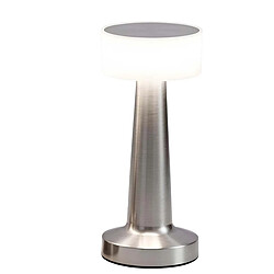 Avizar Lampe d'Ambiance LED Sans Fil Tactile avec 3 Modes de Lumière Argent