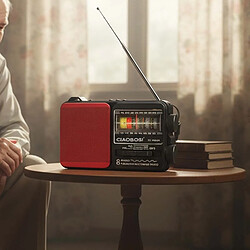 Avis Avizar Radio 3 Bandes FM / AM / SW avec USB MP3 et Lampe LED Noir / Rouge