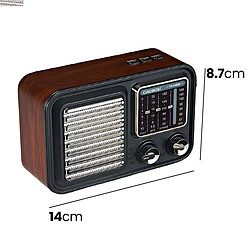 Acheter Avizar Radio Rétro Multi-bande FM / AM / SW avec Lecteur USB MP3 Noir / Argent