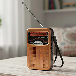 Avis Avizar Radio Portable 3 Bandes FM / AM / SW Haute Précision et Compact Marron