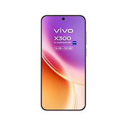 Vivo X300 512 Rose