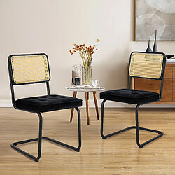 Acheter Smartue Lot de 2 Chaises de Salle à Manger Noir avec Cannage
