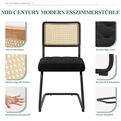 Smartue Lot de 2 Chaises -Réinventez vos repas avec une chaise au confort raffiné-Noir