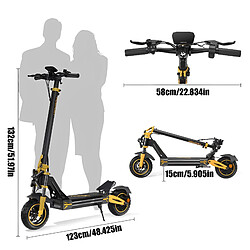 Trottinette Électrique TWOFISH V2 MAX, Moteur 800W (Pic 1640W), Batterie 48V 20Ah, Vitesse 50km/h, Autonomie 50km, Pneus 10" Tout-Terrain, Freins Double, NFC, Pliable pas cher
