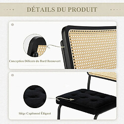 Smartue Lot de 2 Chaises de Salle à Manger Noir avec Cannage pas cher