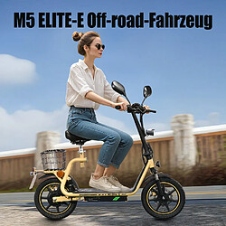 Avis Trottinette Électrique TwoFish M5 Elite - Moteur 500W (750W Pic), 48V 13Ah, 40km/h, Pneus 14" Pneumatiques, Freins Double, Suspension Double, IP64, Panier Arrière
