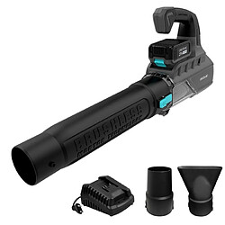 Cecotec souffleur de jardin