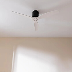 Ventilateur