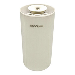 Humidificateur Cecotec PureAroma 3000 10 W 10 L