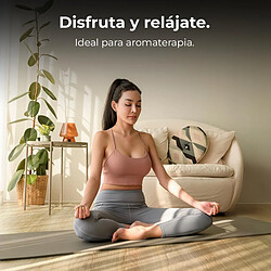 Humidificateur Cecotec PureAroma 3000 10 W 10 L pas cher