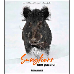 Sangliers : une passion