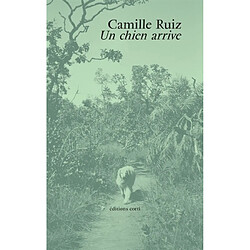 Un chien arrive