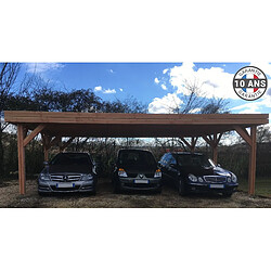 C000040045_cpbf 33m² 5.5x6m