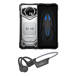Doogee 12Go/256Go - Argent