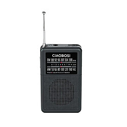 Avizar Mini Radio de Poche à Bandes FM et AM Antenne Télescopique avec port Jack Noir