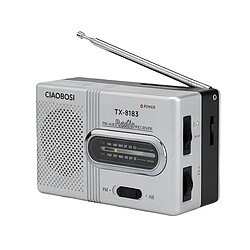 Avizar Mini Radio de Poche à Bandes FM et AM avec Antenne Télescopique Stable Gris