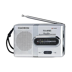 Avizar Mini Radio de Poche à Bandes FM et AM avec Antenne Télescopique Stable Gris