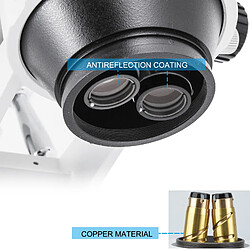Acheter Vevor Microscope Stereo 3.5X-90X Simul Focal Trinoculaire Zoom 360 Degres Rotatif Trinoculaire Stereo Microscope Double Bras Stand Laboratoire Microscope Video
