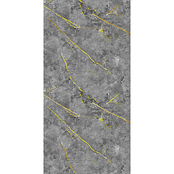 PROTOCOLE HOME Panneau mural effet marbre en polyéthylène 3 mm 122x260 cm