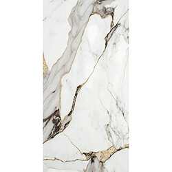 PROTOCOLE HOME Panneau mural effet marbre en polyéthylène 3 mm 122x260 cm