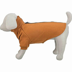 Vêtement pour chien