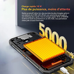 Acheter Smartphone Oscal Marine3 256Go white