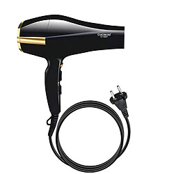 Avizar Sèche-cheveux Électrique 1500W Air Chaud et Air Froid Noir / Or