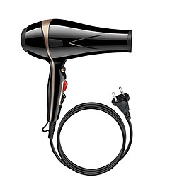 Avizar Sèche-cheveux 1550W Air Chaud et Froid Fonction Réduction Sonore Noir