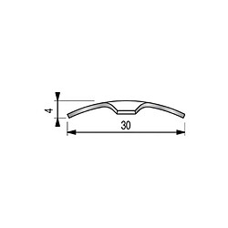 Dinac Barre de seuil 0,93mm 30mm x 3m - 2023020