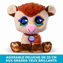 Doudou et peluche