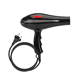 Avizar Sèche-cheveux Électrique 1500W Compact Air Chaud et Air Froid Noir / Rouge