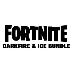 Acheter Epic Games Fortnite Pack Feu et Glace Obscurs AABPQ59126 Code in a Box Nintendo Switch